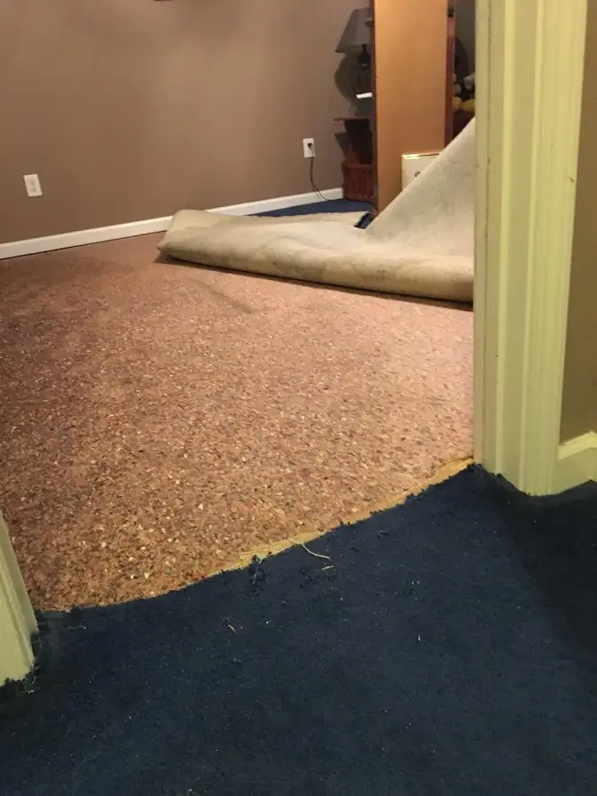 Carpet pad removal revealing water damage during Water Mitigation Services in La Follette